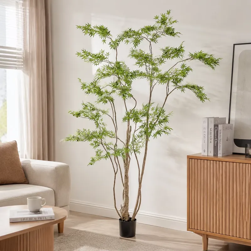 リアルな鉢植え人工日本の紅葉の木、住宅および商業インテリアデ - Dracaena Marginata のレビューと価格