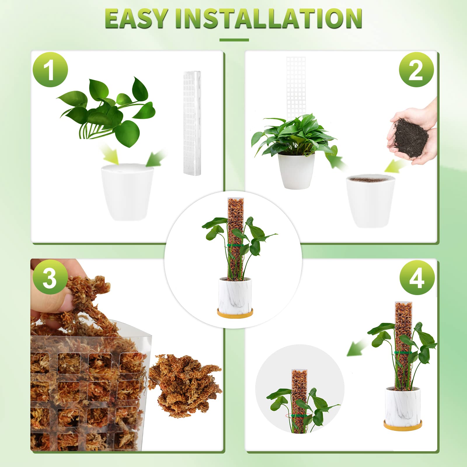 苔ポール植物植物サポートプラスチック透明再利用可能な屋内鉢植 - Echeveria Succulent のレビューと価格