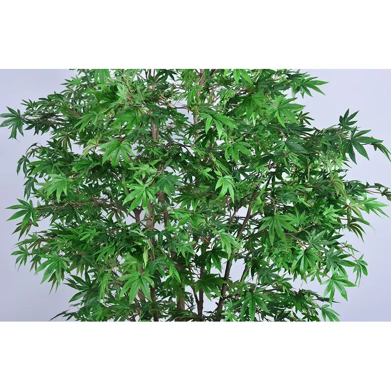 トレンドの卸売グリーンメープルツリー人工マルチトランク250 - Dracaena Marginata のレビューと価格
