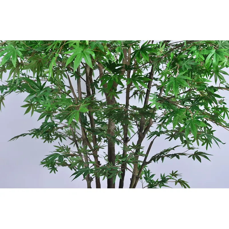 トレンドの卸売グリーンメープルツリー人工マルチトランク250 - Dracaena Marginata のレビューと価格