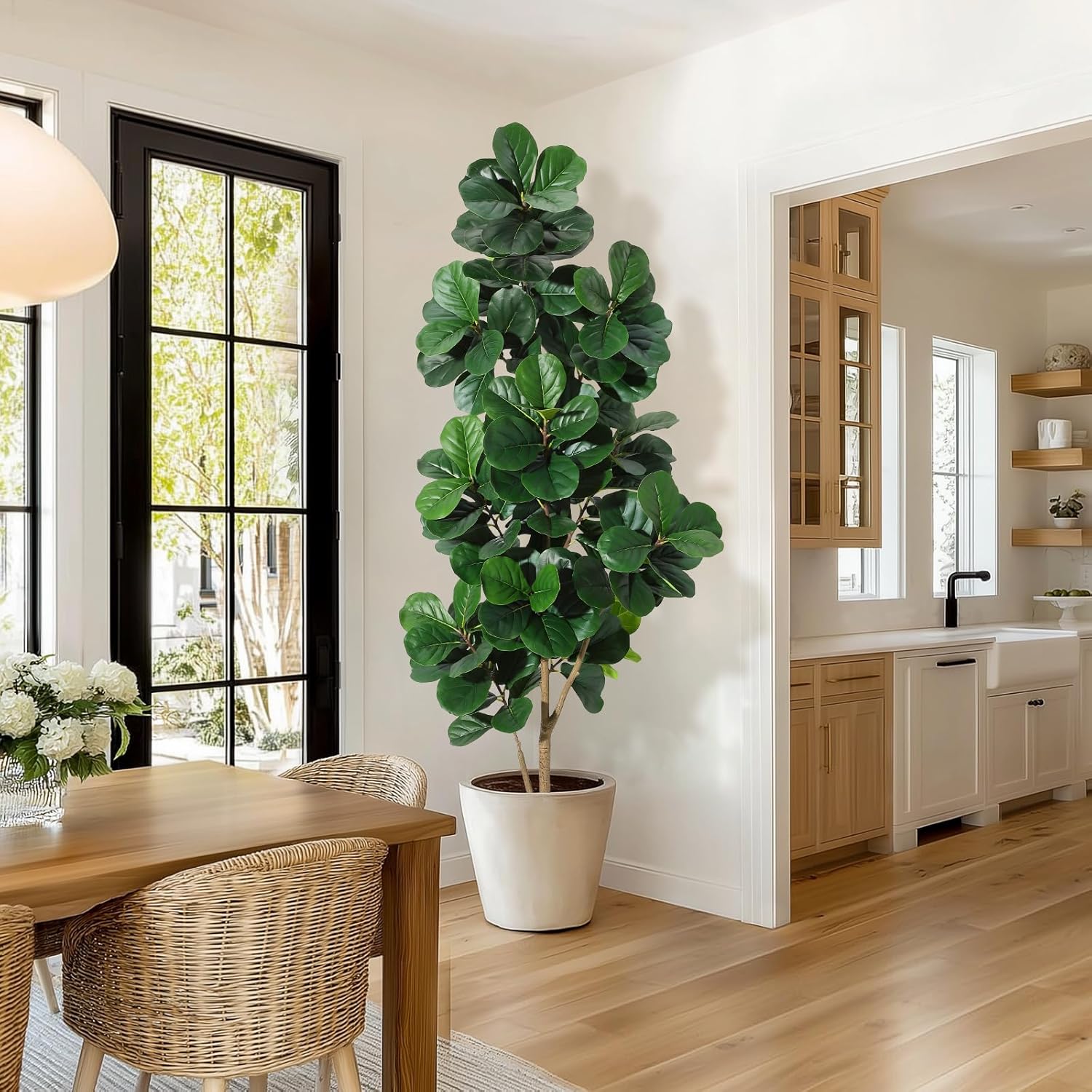 4FT/5FT/6FT/7FT フィドルリーフイチジクの木  - Ficus Lyrata Tree のレビューと価格